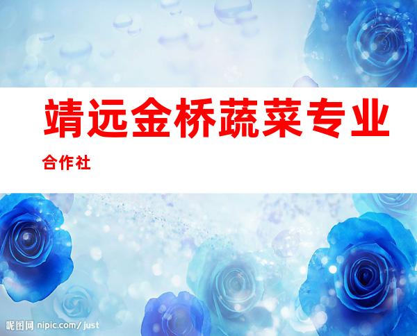 靖远金桥蔬菜专业合作社